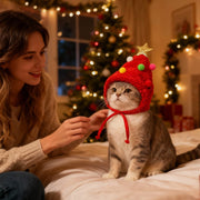 Christmas Pet Cute Hat