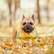 Luxurious Warm Dog Sweater