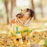 Luxurious Warm Dog Sweater