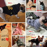 Funny T-Shirts for Dogs