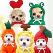 Cute Fruit Dog Clothes for Small Dogs - Pacco Pet