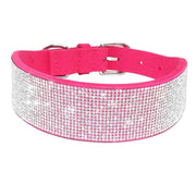Dog & Cat Shiny Collars Leather - Pacco Pet