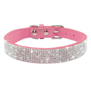 Dog & Cat Shiny Collars Leather - Pacco Pet