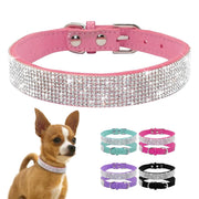 Dog & Cat Shiny Collars Leather - Pacco Pet