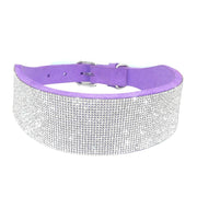 Dog & Cat Shiny Collars Leather - Pacco Pet