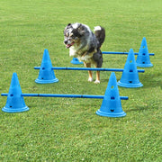 3 set Dog Training Agility Equipment