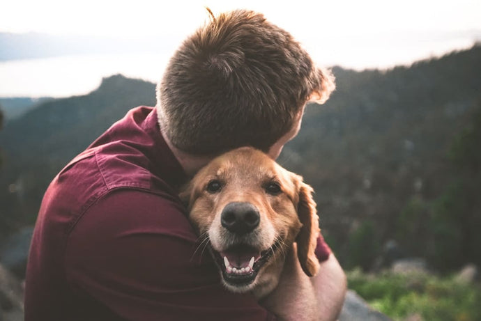 Pet Owners Are Happier Than Others Without Them, Study Shows