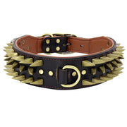 Spiked Studded Leather Dog Collar