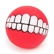 Funny Silicone Pet Toy Ball