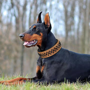 Spiked Studded Dog Collar Luxurious Leather