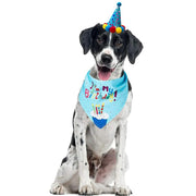 Pet Birthday Costume