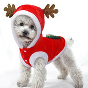 Pet Christmas Clothes