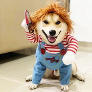 Pet Halloween Costume