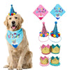 Pet Birthday Costume