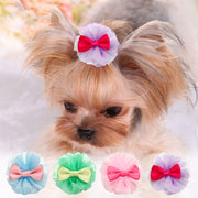 Pet Crown Hair Clips