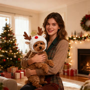Christmas Pet Cute Hat
