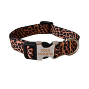 Leopard collar and leash for dogs - Pacco Pet