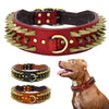 Spiked Studded Leather Dog Collar