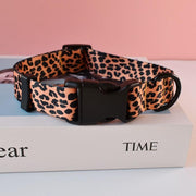 Leopard collar and leash for dogs - Pacco Pet