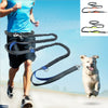 Dog Running Belt Leash Elastic Hands Free