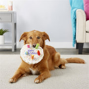 Birthday Cake Toy for Pets