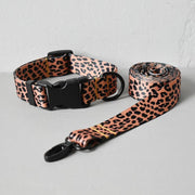 Leopard collar and leash for dogs - Pacco Pet