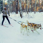 Pet Weight Pulling Sledding Harness Leash