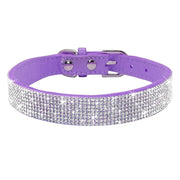 Dog & Cat Shiny Collars Leather - Pacco Pet