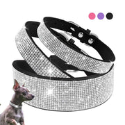 Dog & Cat Shiny Collars Leather - Pacco Pet