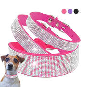 Dog & Cat Shiny Collars Leather - Pacco Pet