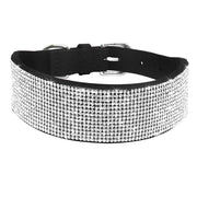 Dog & Cat Shiny Collars Leather - Pacco Pet