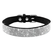 Dog & Cat Shiny Collars Leather - Pacco Pet