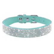 Dog & Cat Shiny Collars Leather - Pacco Pet