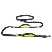 Dog Running Belt Leash Elastic Hands Free