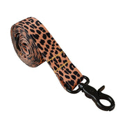 Leopard collar and leash for dogs - Pacco Pet