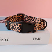 Leopard collar and leash for dogs - Pacco Pet