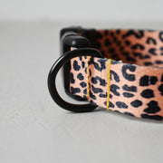 Leopard collar and leash for dogs - Pacco Pet