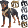 Training Vest Leash For Dogs