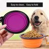 Travel Portable Pet Feeder