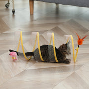 Funny Cat Tunnel