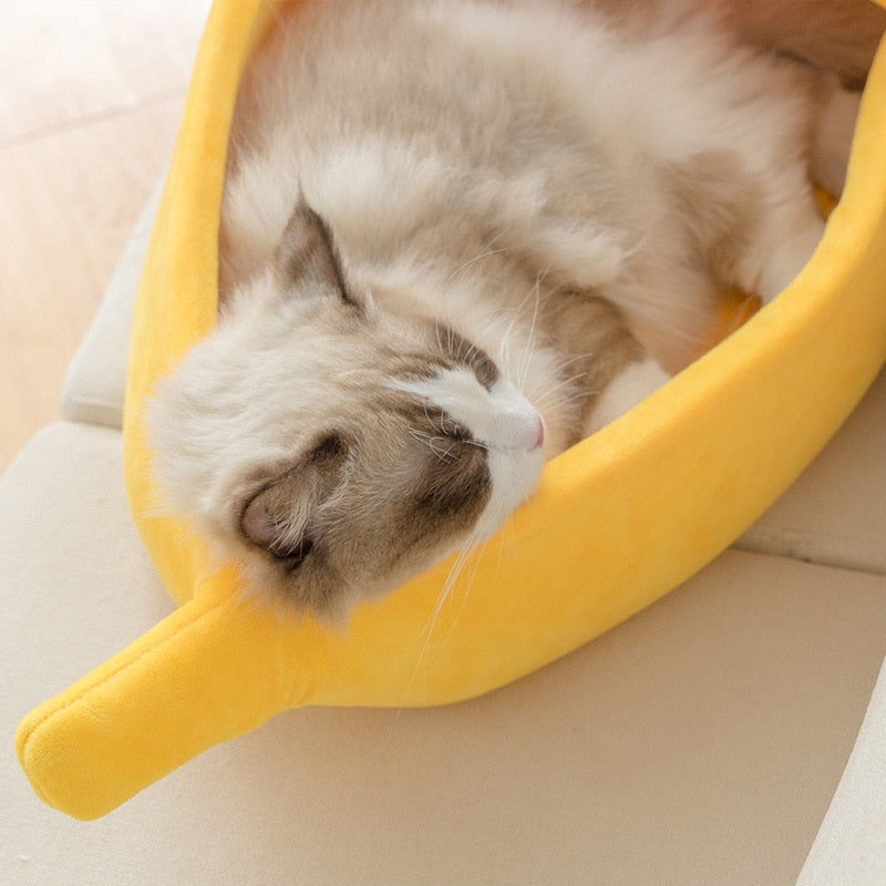 Banana bed sale for cats